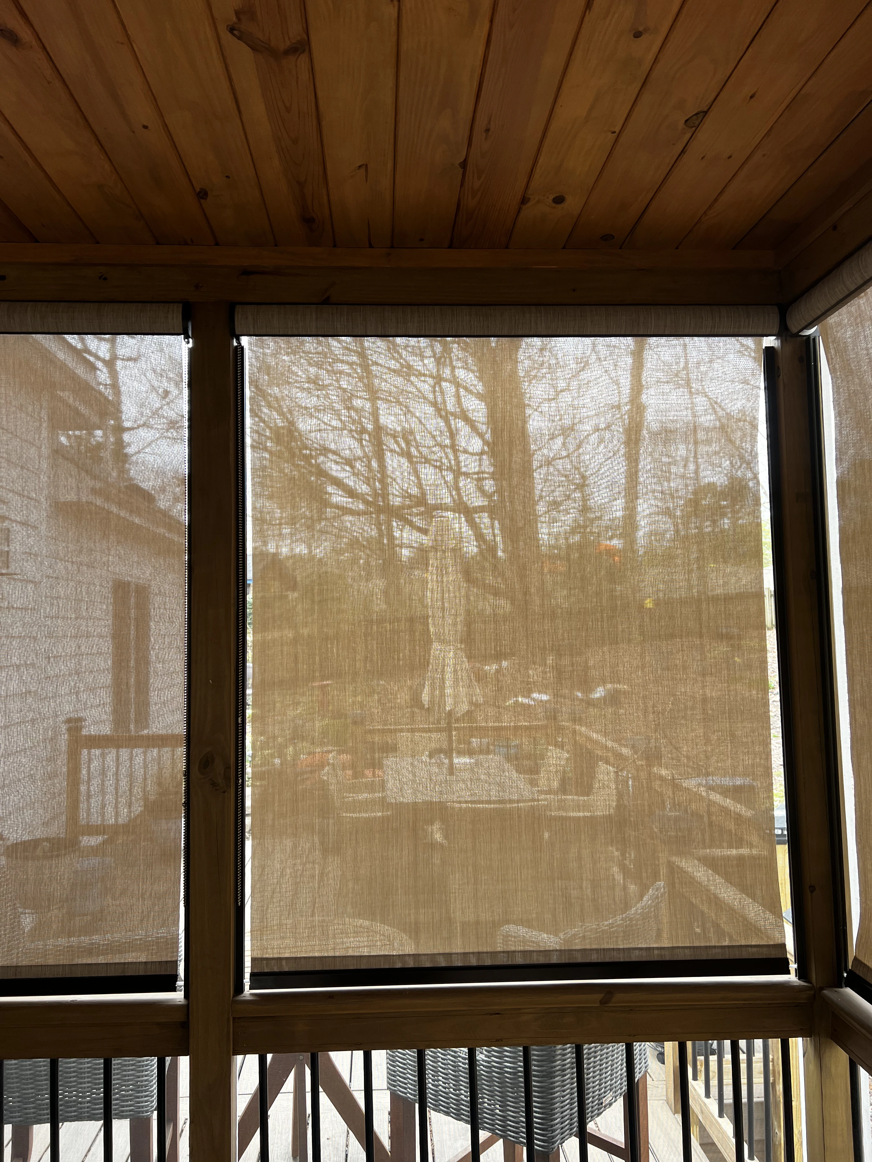 Window Shades - image 4